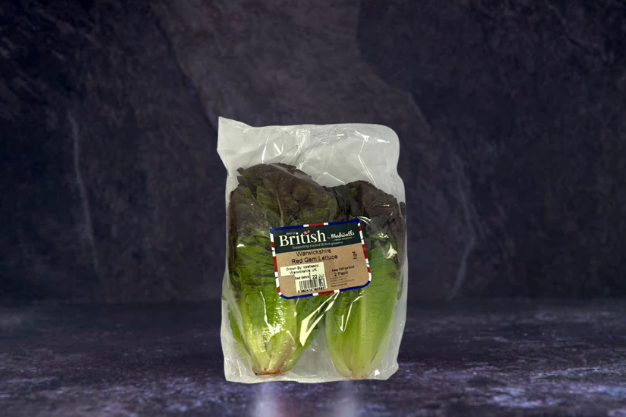 Red Gem Lettuce (2)